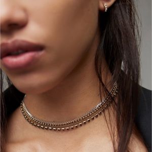 🆕✨AllSaints Farrah Chain Choker Necklace✨🆕